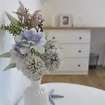 Guest house Ledinic