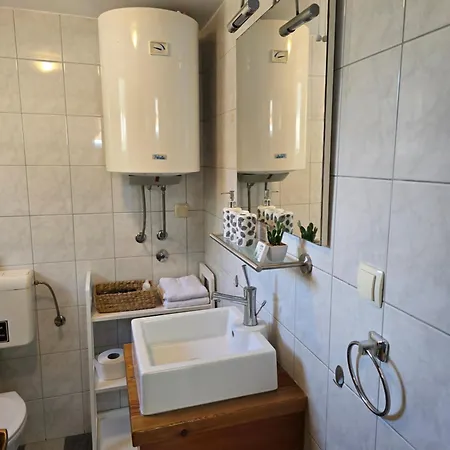 Guest house Ledinic