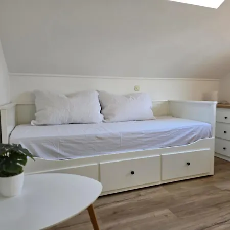 Ledinic Guest house *