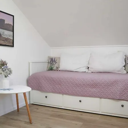 Ledinic Guest house *