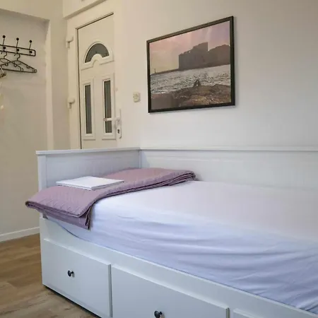 Guest house Ledinic