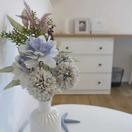 بيت ضيافة Ledinic